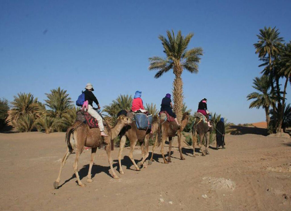 overnight-stay-at-standard-zagora-desert-camp-with-camel-ride