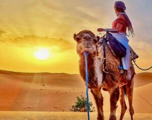 travel