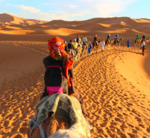 Scenic view of the Moroccan desert