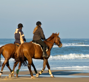 Horse riding experience in Morocco